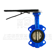 D671F-16P不銹鋼對夾式蝶閥